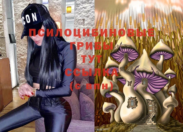 мяу мяу мука Елабуга