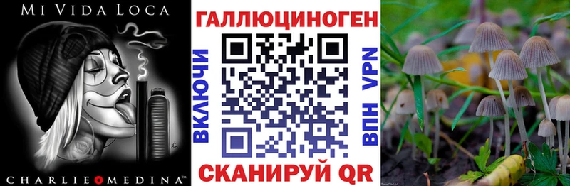 Купить закладки  Мценск  Галлюциногенные грибы Psilocybe 
